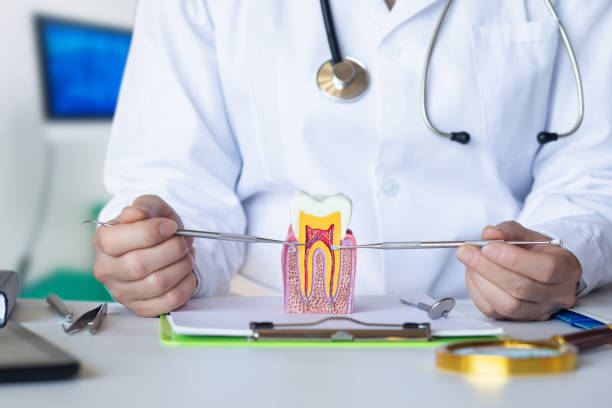 Best Emergency Tooth Extraction in Churchville, PA